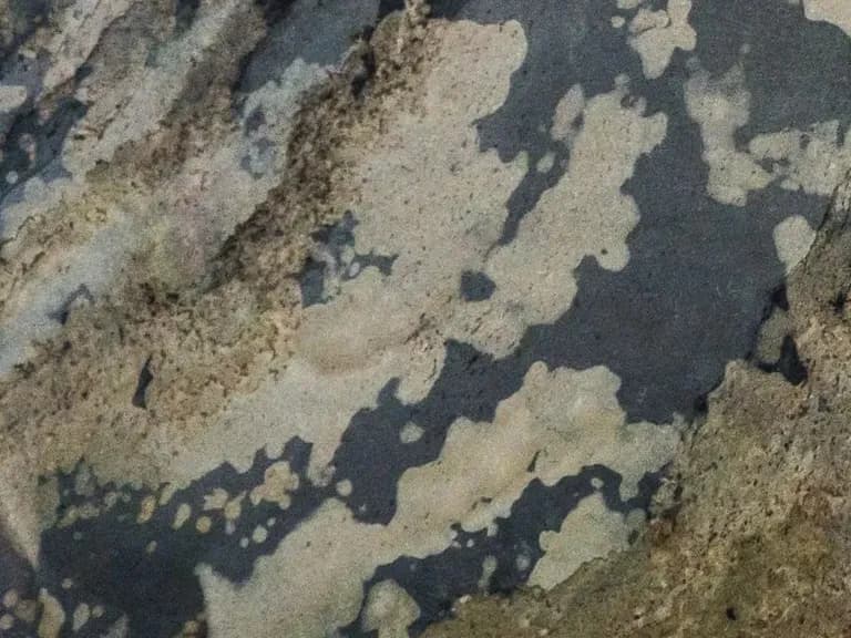 AUTUMN RUSTIC H