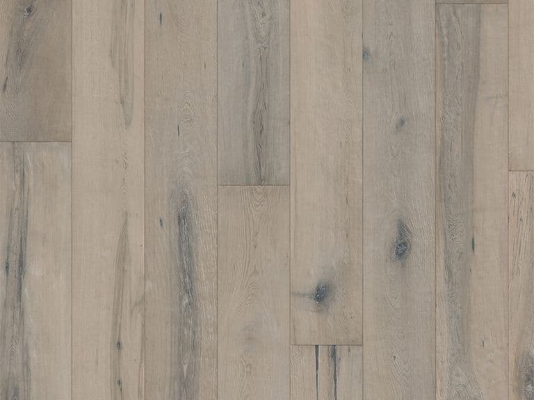 Hard Maple Nebbia