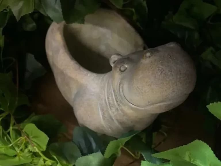 КАШПО HIPPO 22CM 6