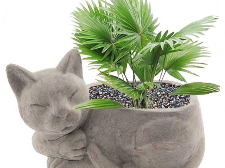 КАШПО LIGHT KITTY 26CM