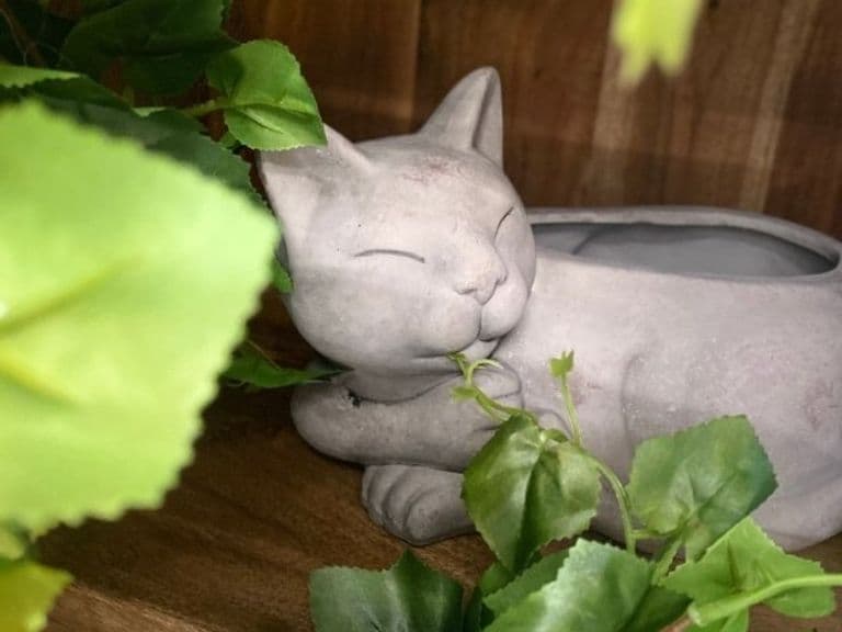 КАШПО LIGHT KITTY 26CM 3