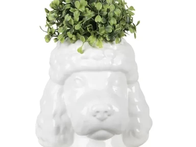 КАШПО POODLE 18CM