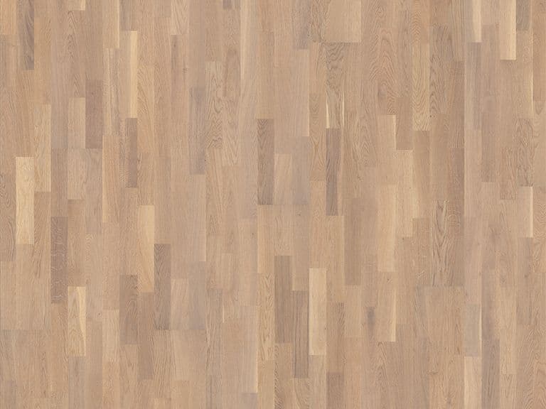 Oak Abetone