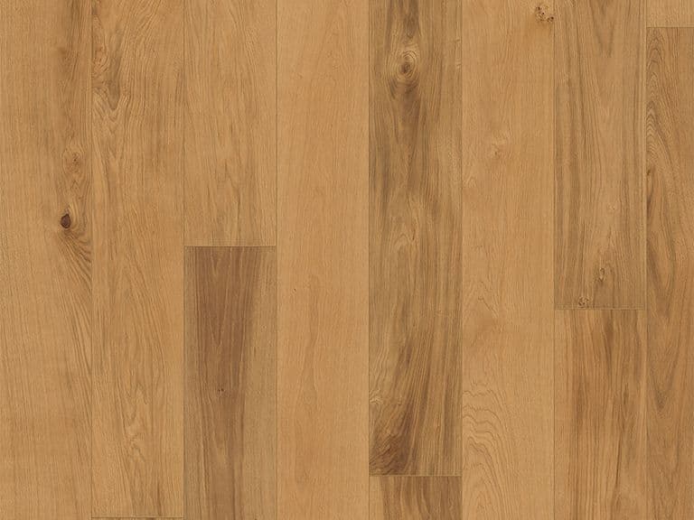 Oak Burgundy