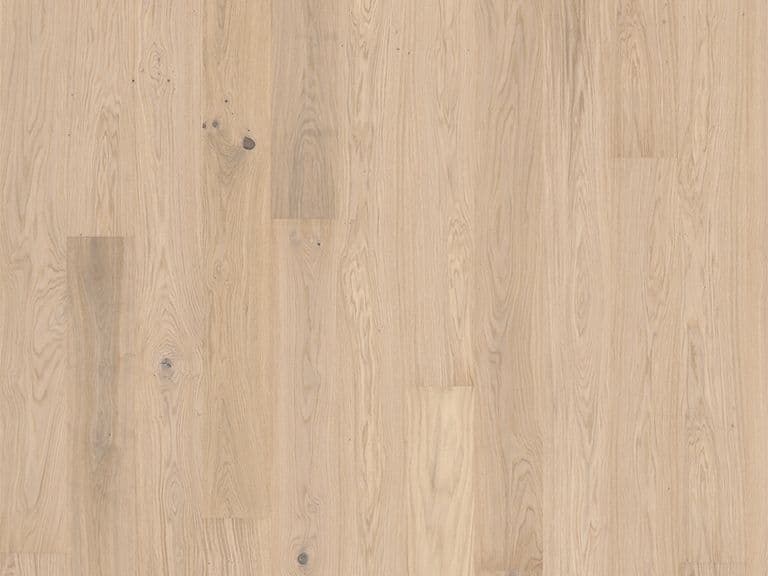 Oak Horizon