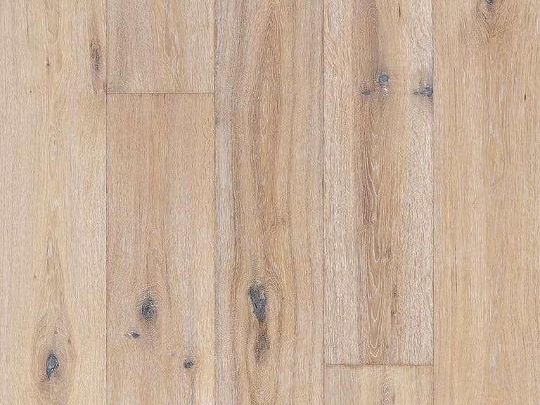 Oak Oyster