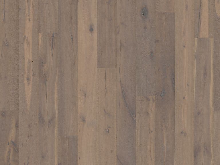 Oak Sture