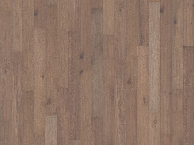 Oak Trench