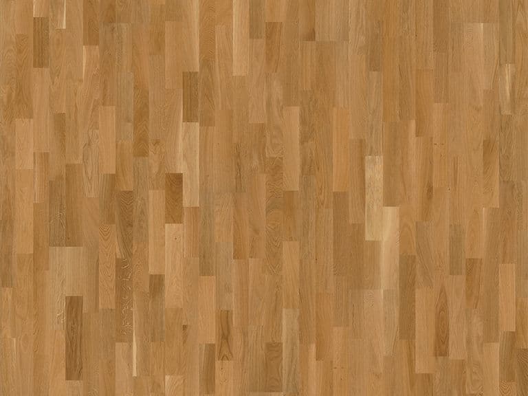 Oak Treviso
