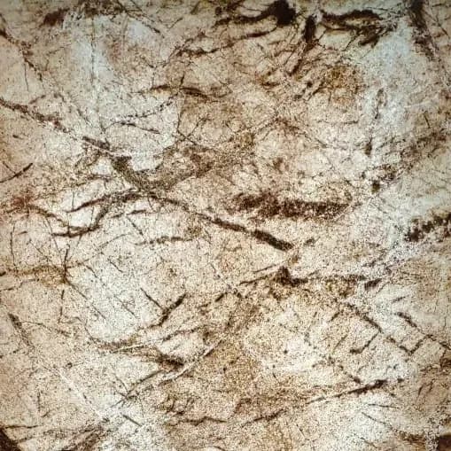 RAIN FOREST BROWN 2