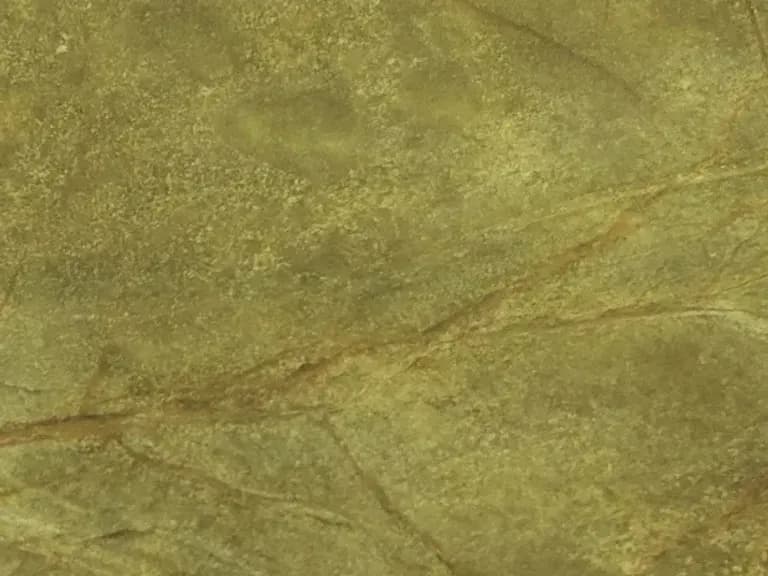 RAIN FOREST GREEN 3