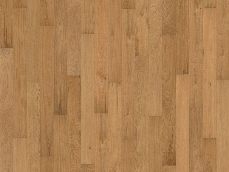 Reef Oak